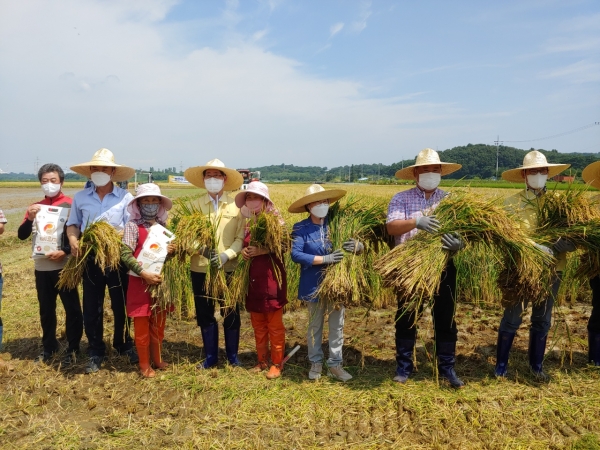 당진시 국내 최대 규모 빠르미쌀 수확과 이앙 현장 사진(오른쪽끝 윤동현 당진시 부시장 왼쪽 양승조도지사 가운데 어기구 국회의원)