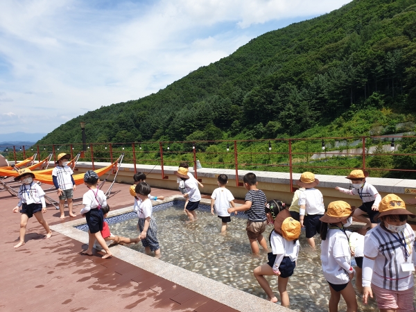 지난 6일 한국숲유치원협회 영주지역 어린이집 아동들이 경북 영주시 봉현면 국립산림치유원에서 진행된 '숲에서 여름' 프로그램에 참여하고 있다.