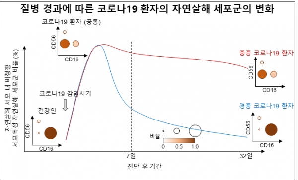 질병 경과에 따른 코로나19 환자의 자연살해 세포군의 변화