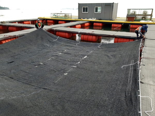 가두리 양식장 차광막 설치 모습