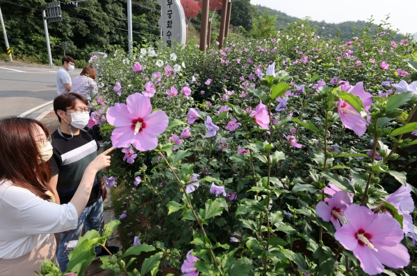 보령무궁화수목원 모습