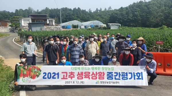 청양지역 지난 고추생육상황 중간평가회 모습