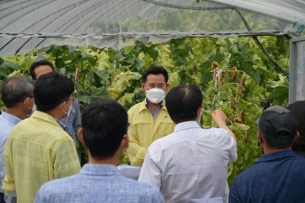 박정현 군수, 폭염피해 농가 현장방문 장면