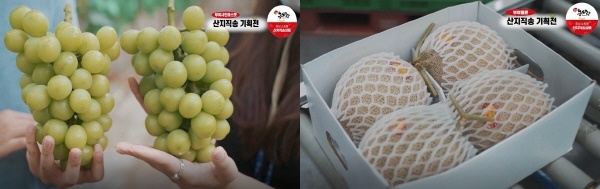 샤인머스켓, 멜론