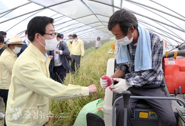 시설하우스 3모작을 위한 빠르미 수확 행사