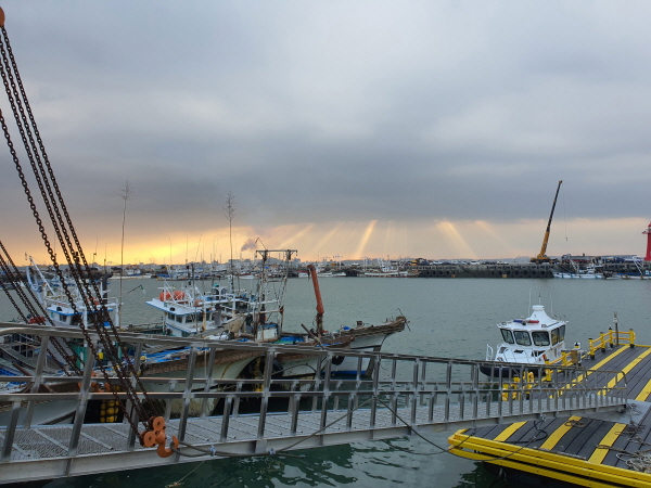 서천군 장항항 전경