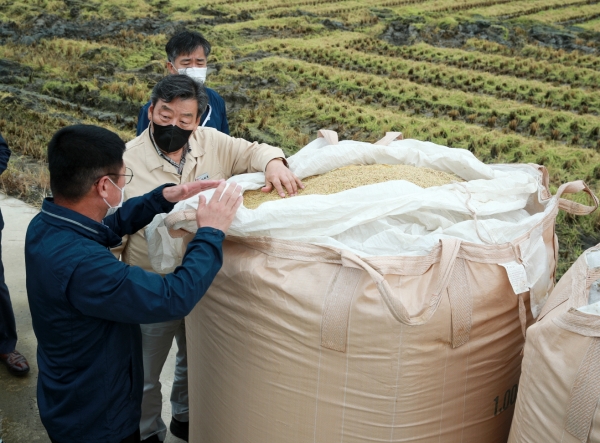 지난 21일 태안군 원북면 동해리의 한 농가의 올해 첫 벼 수확 현장을 찾은 가세로 군수 모습.