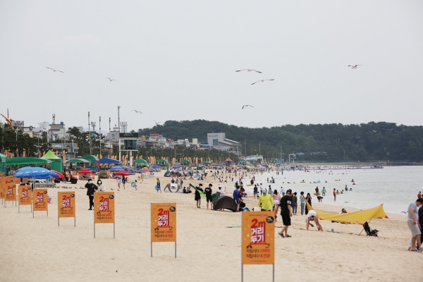 대천해수욕장 개장 모습