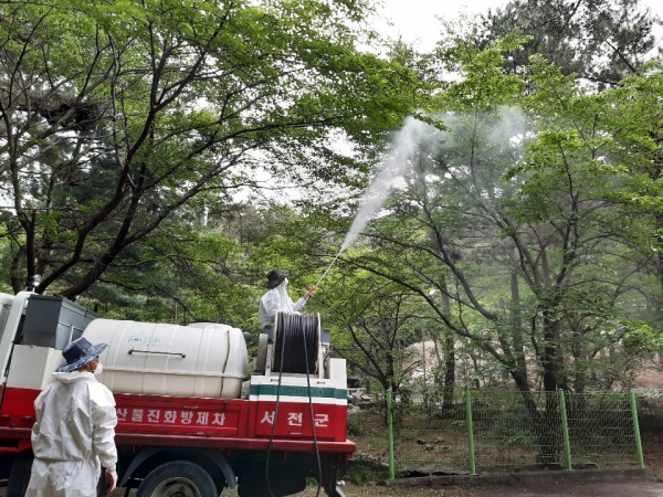 흰불나방 병해충 방제 모습