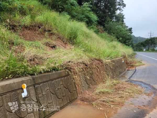 전동면 봉대리 시고 29호 사면 유실