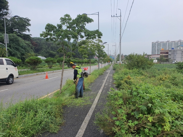 주요도로변 제초작업 장면