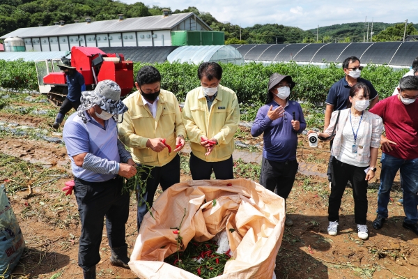 일괄 수확 시연회 개최 사진