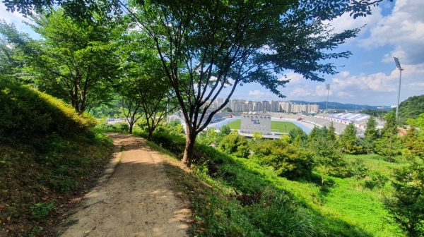 숲길 가꾸기로 경관개선이 완료된 이순신종합운동장 숲길