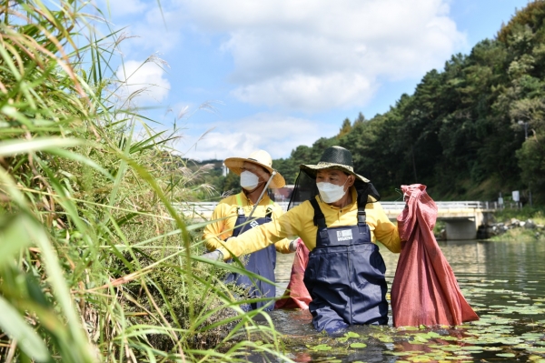 뿌리공원 만성교 하천을 중심으로 환경정화 활동을 펼치는 박용갑 중구청장과 중구청 공무원