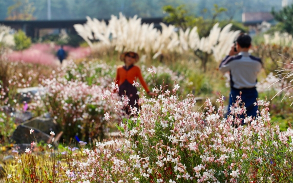 천리포수목원 모습