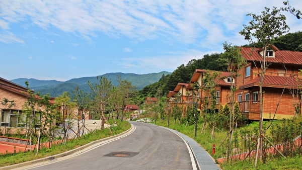 산림치유원 예천운영본부