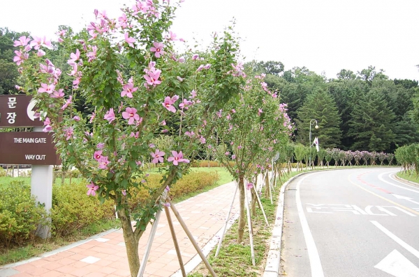 천안시가 조성 완료한 명품 무궁화 테마공원