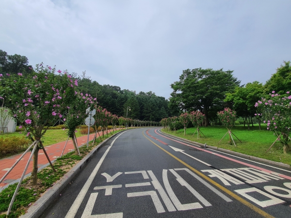 천안시가 조성 완료한 명품 무궁화 테마공원