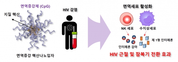면역증강 핵산나노입자의 HIV 대항 면역활성 전략 모식도