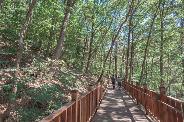 태조산 무장애 나눔길 모습