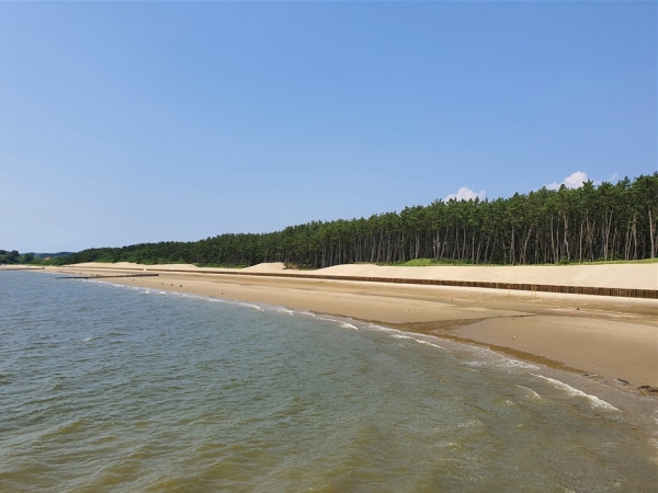 다사2지구 연안정비사업 ‘환경친화적 공법’ 적용 준공