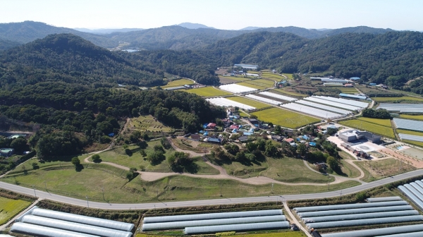 정암리 와요지 전경