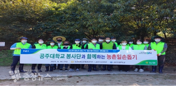 농협공주시지부 박재명지부장(앞줄 왼쪽 7번째), 농협충남세종노동조합 이기범위원장(앞쪽 왼쪽 6번째), 공주대학교 봉사단 20여명이 30일 공주시 이인면을 찾아 알밤 수확 일손돕기를 펼쳤다.