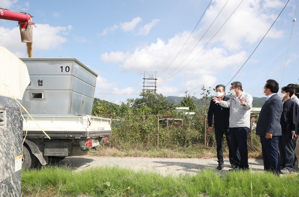 5일 주산면에서 김동일 보령시장과 관계자가 참여한 가운데 벼 수확 후 수매통에 담는 과정을 시연