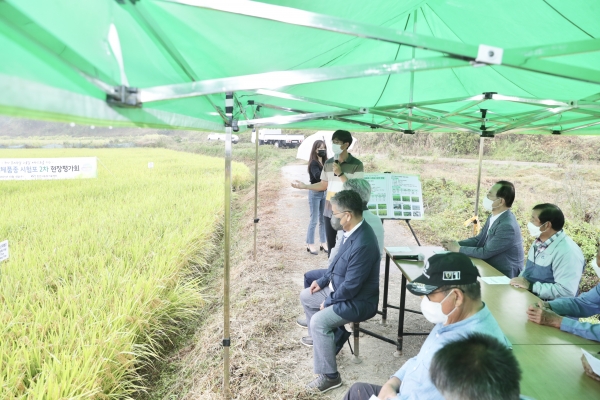 흥타령쌀 대체품종 선발 위한 현장평가회 개최