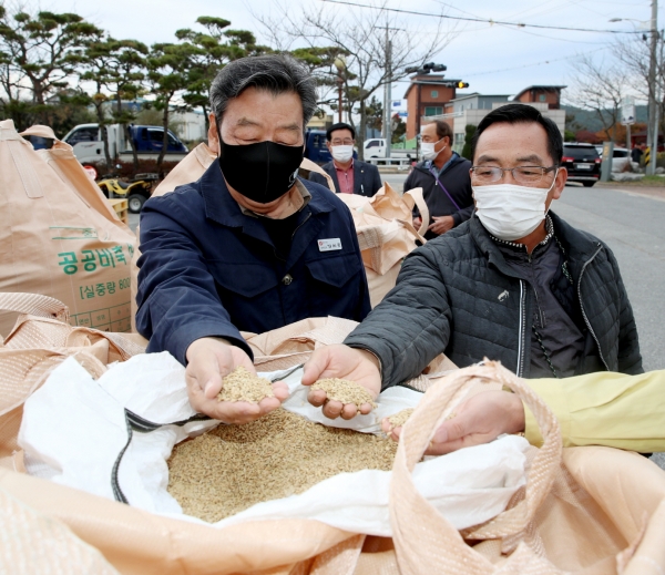 지난해 공공비축 미곡 매입 모습.