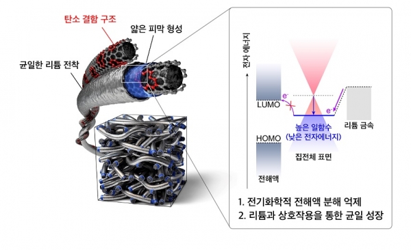 높은 일함수를 가지는 탄소 결함 구조 표면을 통한 전해액 분해 억제 및 균일한 리튬 금속 성장 모식도