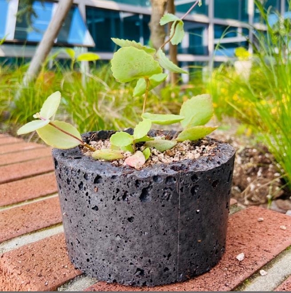 한뼘정원 교육재료