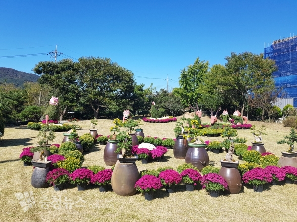 지난해 홍성사랑국화축제