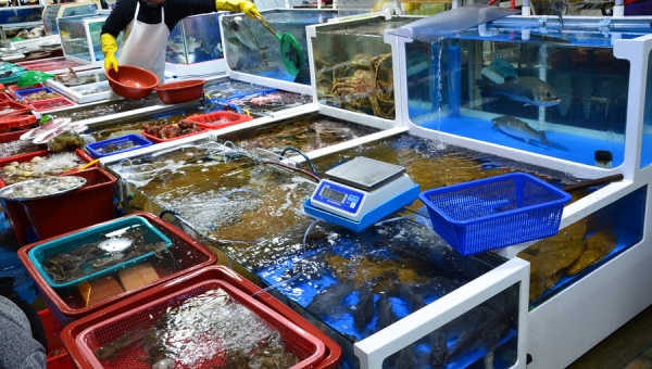 서천특화시장 모습