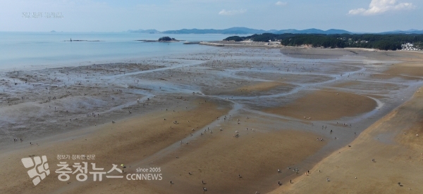 태안해경에서 한글날인 9일 토요일 낮 태안 몽산포 해변 일대 갯벌체험 활동을 드론 순찰로 공중 모니터링하고 있다.