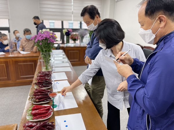 채소화훼분야 시범사업 평가회 개최 모습