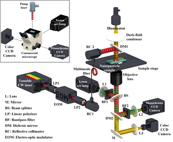 암시야 산란현미경과 광열반사현미경이 결합된 이중모드 광학현미경시스템 모식도