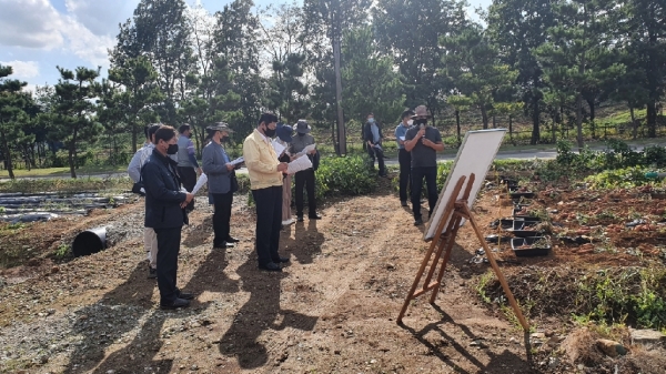 고구마품종 비교 평가회 모습