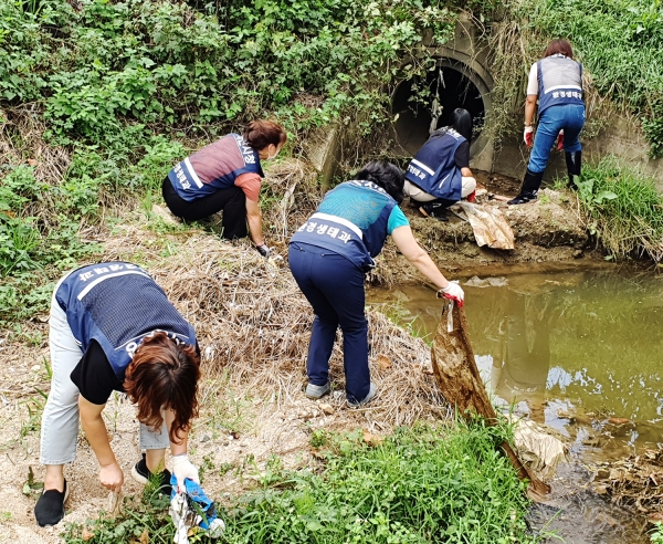 민간환경감시단이 10월 초 지곡면 오토밸리 인근 하천을 들러 정화활동하는 모습