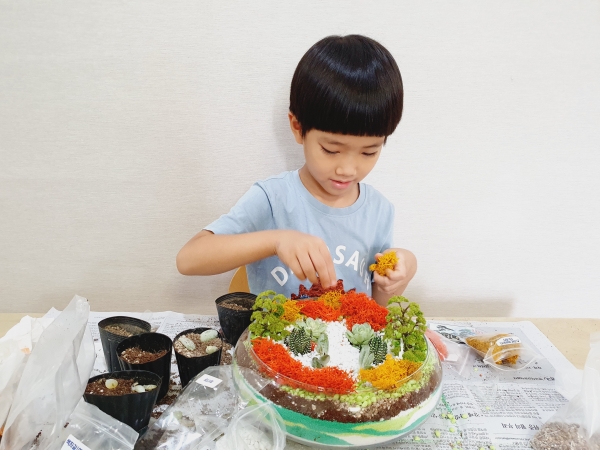 김대건 신부 체험키트(다육테라리움)