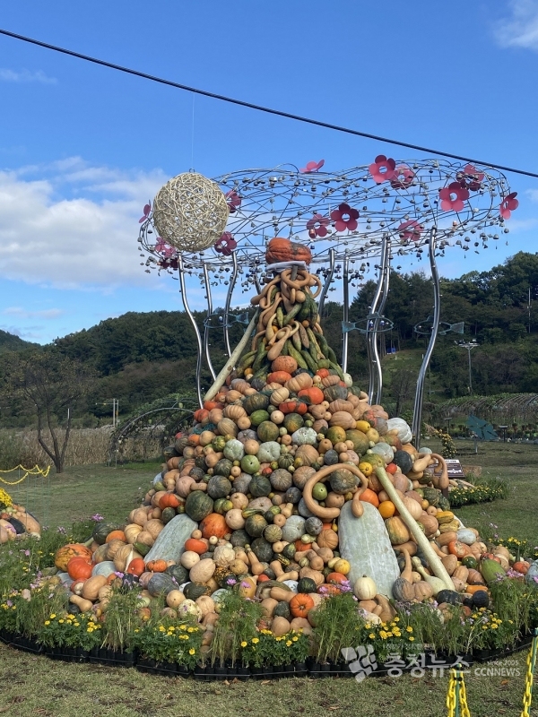 ‘ 오색빛 호박축제 ’대청호 가을을 물들인다