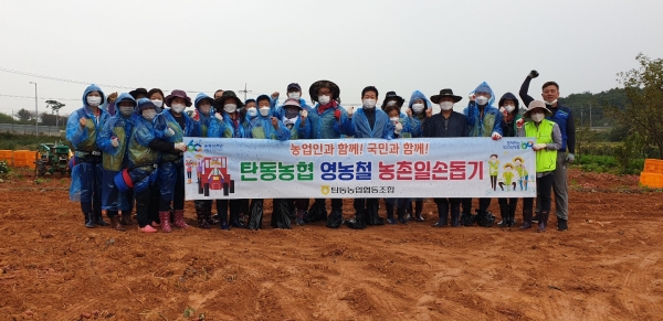 15일 충남 당진 석문농협 인근 고구마 농가에서 탄동농협 부녀회 및 직원들과 함께 농촌일손돕기 진행