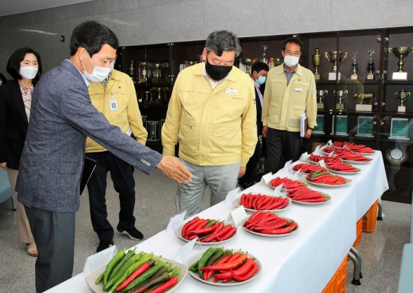 지난해 고추 시범사업 평가회에 참석한 가세로 군수.