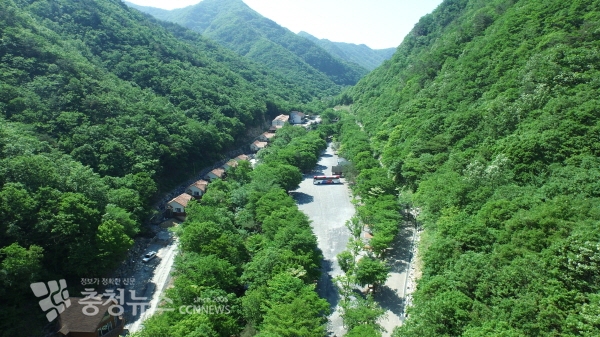 금산산림문화타운