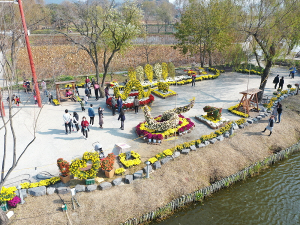 제17회 국화축제 모습