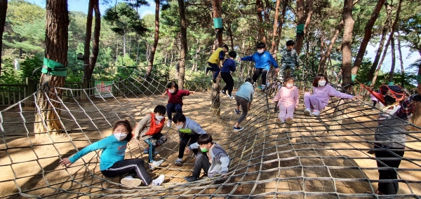 조치원신봉초 학생들이 숲 밧줄놀이 체험을 즐기고 있다.