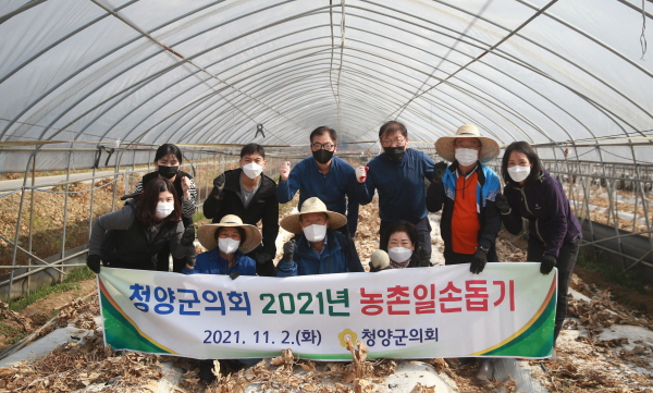 청양군의회 농촌 일손돕기 모습