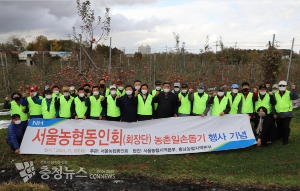 서울지역 농협퇴직동인회 회원들이 예산군 삽교읍 예산사과농원 찾아 사과수확 일손돕기 실시