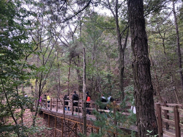 가족체험 참여가족 트레킹 모습