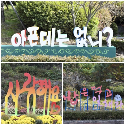 마음의 위로를 전하는 글자조형물 포토존 설치